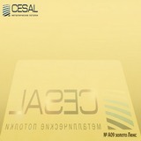 Потолочная кассета Cesal А09 Золото Люкс (300х300 мм)