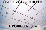 Поперечный профиль 1,2м СУПЕР-ЗОЛОТО Т-15 Албес