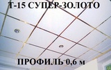 Поперечный профиль 0,6м СУПЕР-ЗОЛОТО Т-15 Албес